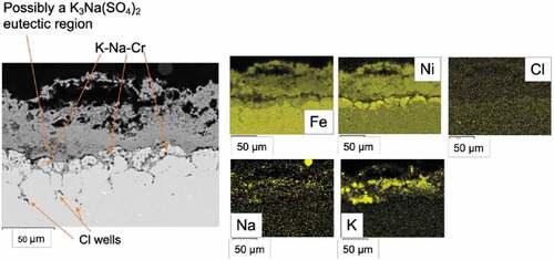 Figure 11. Backscattered image of 347HFG-D1 after 500 h exposure showing K-Na possible location.