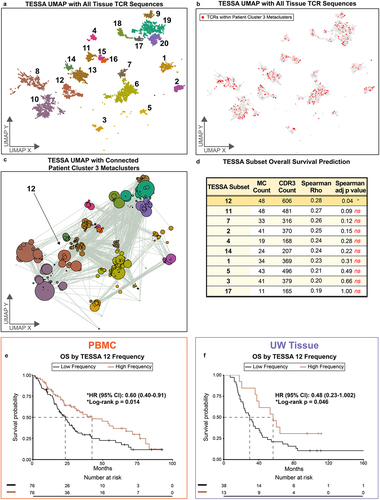 Figure 4. Clustering of WashU tissue TCRs based on amino acid properties (TESSA). A-B: UMAP dimensional reduction of TESSA embedding on all tissue CDR3b sequences from the WashU tissue data set with TCRs unassigned to a cluster removed (a) and with CDR3b sequences belonging to cohort 3 enriched metaclusters highlighted (b). (c) Highlighted TCRs in (b) belonging to a given metacluster within the same TESSA subset were collapsed into vertices and those belonging to a matched metacluster in different TESSA subsets were connected by gray lines (vertex size corresponds to TCR count). TCRs not present in metaclusters enriched in patient cluster 3 (highlighted in b) are excluded from this panel and subsequent analysis. (d) Metaclusters from (b) and (c) were separated based on TESSA subset and tested as a correlate of overall survival in the WashU tissue cohort. (e) Kaplan-Meier curve of overall survival comparing patients with high frequency of TESSA 12 metaclusters (above median) vs. low frequency (below median) in the WashU PBMC cohort. (f) Kaplan-Meier curve of overall survival comparing patients with high frequency of TESSA 12 metaclusters (upper quartile) vs. patients with low frequency (lower 3 quartiles) in the UW tissue cohort as determined by TCR distances.