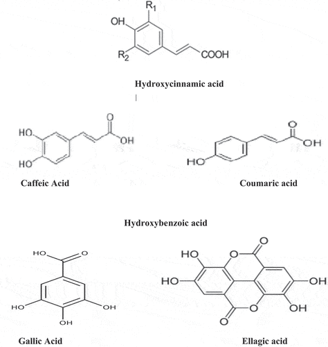 Figure 1. Structures of hydroxycinnamic and hydroxybenzoic acids.