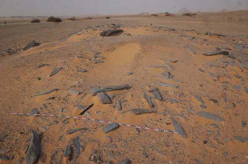 Figure 8. Remains of a tumulus superstructure at site 3-P-50 (2019 season). Photo by J. Budka.