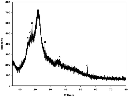 Figure 3. X-ray pattern of rice husk (RH). C and Q denote peaks of cellulose and quartz, respectively.