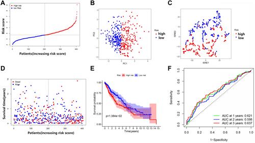 Figure 6 Comparison of high- and low-risk groups in the TCGA dataset. (A) Patient distribution based on the risk score. (B) Principal component analysis (PCA) plot for OCs based on the risk score. (C) t-SNE plot for OCs based on the risk score. (D) Survival status of each patient (low-risk group: on the left side of the dotted line; high-risk group: on the right side of the dotted line). (E) Kaplan–Meier curves for the OS of patients in the high- and low-risk groups. (F) Receiver operating characteristic (ROC) curves demonstrated the predictive efficiency of the risk score.