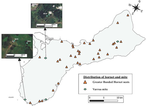 Figure 3. Distribution of Vespa tropica nests, and Varroa infestations in managed and wild-living honey bee colonies on Guam from 2014 to 2020.