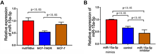 Figure 1 The relative expression of microribonucleic acid-15a-5p (miR-15a-5p) in breast cancer cells. (A) The relative expression of miR-15a-5p in normal diploid myoepithelial, Michigan Cancer Foundation-7 (MCF-7) and Adriamycin (ADR)-resistant breast cancer cells MCF-7 (MCF-7/ADR); miR-15a-5p expression was significantly decreased in MCF-7/ADR cells (P < 0.05). (B) The relative expression of miR-15a-5p in non-transfected MCF-7/ADR cells and those transfected with an miR-15a-5p mimic and inhibitor, respectively. The MiR-15a-5p amounts were dramatically decreased and increased after transfection with an miR-15a-5p inhibitor and mimic, respectively, compared with control cells (P < 0.05).