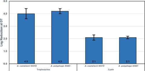 Figure 3 Antimicrobial efficacy of CCP against trophozoites and cysts for two strains of Acanthamoeba. CCP reduces trophozoites of two Acanthamoeba strains by ≥99.99% and cysts of two Acanthamoeba strains by >99%. Adapted with permission from Wolters Kluwer Health, Inc.: Gabriel MM, McAnally C, Bartelll J, et al. Biocidal efficacy of a hydrogen peroxide lens care solution incorporating a novel wetting agent. Eye Contact Lens. 2019;45(3):164–170. © 2018 Contact Lens Association of Ophthalmologists.7