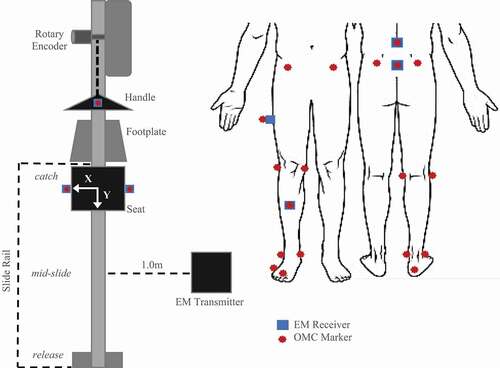 Figure 1. Diagram of OMC marker and EM receiver layout during rowing trials. Top-down view of sensors affixed to the instrumented ergometer (left). Anterior and posterior views of sensors as applied to subject anatomical landmarks (right). Relative position of key stroke occurrences (catch, mid-slide, release) is indicated to the left of the slide rail