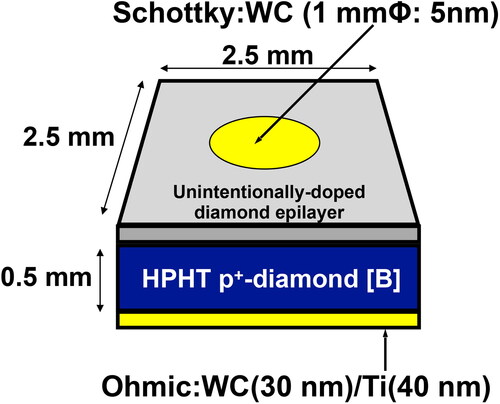 Figure 1. Schematic illustration of diamond-based ­vertical-type SBPD.