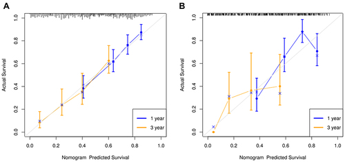 Figure 4 Calibration curve analysis of the nomogram in the derivation cohort (A) and validation cohort (B). Calibration curves are used to assess the difference between the model’s predicted survival rate and the actual one, including the standard curve (grey line) and the working curves (blue and yellow lines), the better the overlap between the working curves and the standard curve, the closer the predicted value is to the actual one.