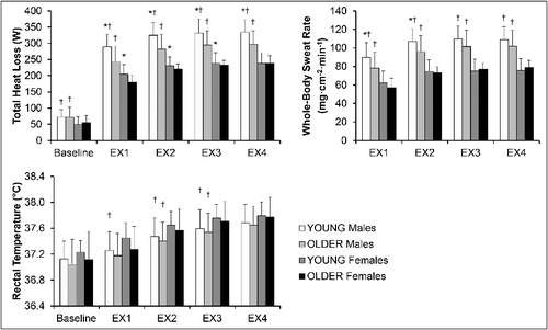 Figure 1. Selected whole-body and local thermal responses in YOUNG and OLDER males and females of the Analysis group during the experiment. Figure note: YOUNG = individuals aged 19–30 years; OLDER = individuals aged 31–70 years; EX = exercise bout; * = statistically significant difference from OLDER participants of the same sex within the same time period (p < 0.05); † = statistically significant difference from the females of the same age group within the same time period (p < 0.05).