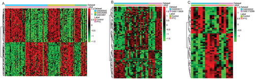Figure 1. Heatmaps of the top 100 DEmRNAs (A), all DEmiRNAs (B) and all DEcircRNAs (C) in PTC.