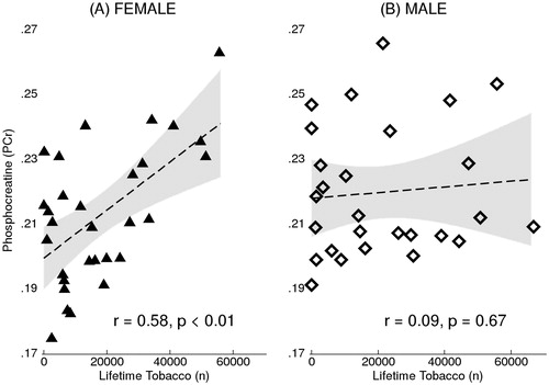 Figure 2. A significant regression slope difference between female and male methamphetamine-dependent subjects with regard to the relationship between phosphocreatine levels and lifetime tobacco consumption (i.e. a significant interaction of gender × lifetime tobacco smoking, F(Citation1, Citation53) = 5.31, p = 0.03, in the methamphetamine-dependent subjects). Please note that the graphics display simple correlations without covariates. (A) A significant positive relationship between brain phosphocreatine levels and total lifetime tobacco use in methamphetamine-dependent females (r = 0.58, p < 0.01), (B) but not in males (r = 0.09, p = 0.67). Lifetime Tobacco (n) represents cumulative numbers of lifetime cigarettes. The dotted line represents linear model. The area of the gray zone represents 95% confidence intervals of the regression line.