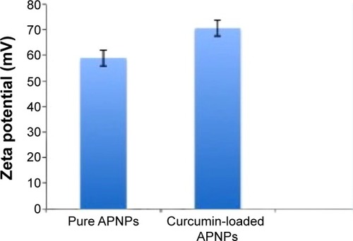 Figure 5 Zeta potential of pure APNPs and curcumin-loaded APNPs.Abbreviation: APNPs, amphiphilic peptide nanoparticles.