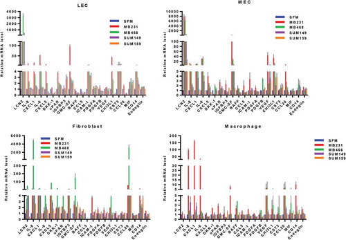 Figure 5. Real-time quantitative PCR analysis of the candidate secreted factors. The relative mRNA levels of the secreted factors in stromal cells cultured with serum-free media (SFM) containing 2% serum or tumor condition media (TCM) of TNBC cells were measured by a real-time RT-qPCR.