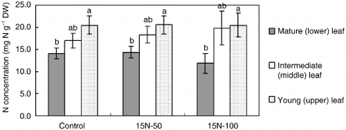 Figure 1  Nitrogen concentration (mg N g−1 dry weight [DW]) in leaves at different ages in 2-year-old sago as influenced by N fertilization. Means with different letters are significantly different using Fisher's least significant difference test (P < 0.01). 15N-50, 15N urea at 50 kg N ha−1; 15N-100, 15N urea at 100 kg N ha−1.