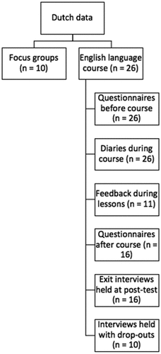 Figure 1. Break-down of the Dutch data - English classes and focus group.