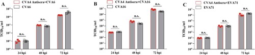 Figure 7. Cross-protection of the anti-CVA4 serum. CVA4 antiserum was co-incubated with CVA4, CVA6, CVA16, and EVA71 in RD cells for 24, 48 and 72 hpi, respectively, and the viral titre in the supernatants were determined by assessing development of CPE (n = 3).