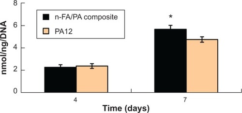 Figure 6 Alkaline phosphatase activity of MC3T3-E1 cultured on both nanofluorapatite (n-FA)/polyamide 12 (PA12) composite with 40 wt% n-FA and PA12 at 4 days and 7 days.Note: *Indicates significant difference.