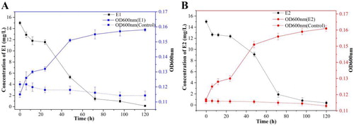 Figure 2. Growth of strain DH-S01 and degradation of oestrone (E1) (A) and 17β-estradiol (E2) (B).