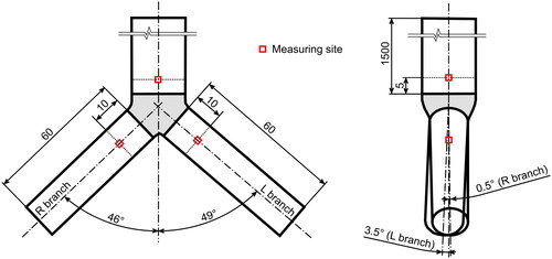 Figure 2. A visualization of the replica of the first bifurcation with indication of the measuring cross-sections.