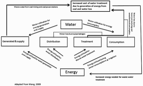 Figure 2. Energy–water nexus scenario in South Africa (adapted from Wang, Citation2009).