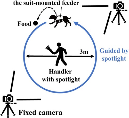 Figure 6. Light-guided training using the suit-mounted feeder.