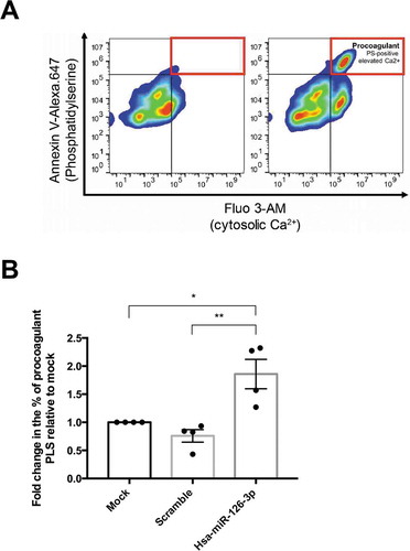 Figure 3. A. Representative procoagulant PLS by flow cytometry before (left panel) and after (right panel) activation. B. Quantification of procoagulant PLS after activation with thrombin and convulxin. Data are expressed as fold change relative to mock condition (n = 4 independent experiments, p = .012 relative to mock condition and p = .003 relative to scramble using ANOVA followed post-hoc Tukey test).