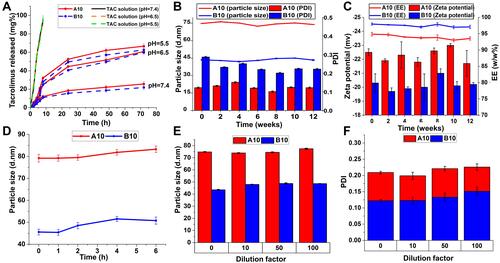 Figure 3 (A) In vitro drug release of TAC from A10, B10 and its ethanolic solution in PBS (pH 7.5, pH 6.5 and pH 5.5) at 100 rpm and 37°C using the dialysis bag method. Physical stability of A10 and B10 micelles stored at 4°C over 3 months expressed as (B) change in particle size, PDI, (C) zeta potential and EE% with time. (D) Serum stability of A10 and B10 in 10% fetal bovine serum (FBS) solution. Physical stability of A10 and B10 micelles at dilution factors (10, 50, and 100) expressed as change in (E) particle size and (F) PDI.