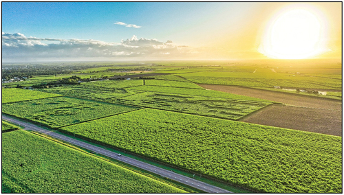 Figure 2. Aerial image of sugarcane land in Ayr, QLD by Burdekin Drones.