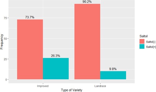 Figure 1. Proportion of rice genotypes from Eastern and Southern Africa (n = 201) in which the salinity-tolerant Saltol allele is present. The collection included 102 landraces and 99 improved cultivars from Eastern and Southern Africa. The genotyping was conducted by 1k RiCA (Agriplex Genomics). The presence of Saltol was significantly more frequently associated with improved genotypes compared with landraces (χ2 = 8.17, df = 1, p-value = 0.004).