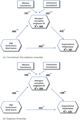 Figure 2. Structural model, path coefficients, conventionally-owned versus employee-owned firms.