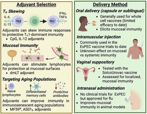 Figure 4. Considerations for adjuvant selection and delivery method.