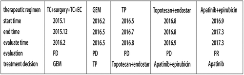 Figure 4. The various treatments the patient received as well as the duration of each treatment.