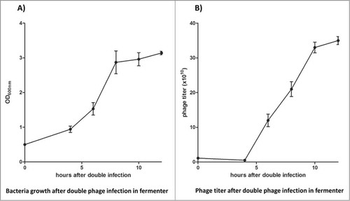 Figure 2. NZY medium was used in the production of phage antibody library in the stirred-tank bioreactor. Bacterial growth (A) and phage titer (B) were monitored, with a final phage particle production almost 5 times larger than that obtained with flask growth. All the experiments were conducted in triplicate and +/− standard deviations reported.