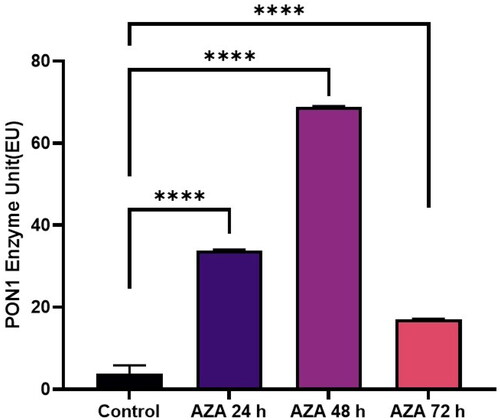 Figure 1. Modulating effects of AZA on PON 1 enzyme activity in human glioblastoma cells U87MG.