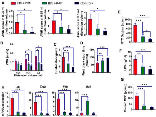 Figure 1 Kurarinone (KAR) alleviates visceral hypersensitivity and inflammatory responses in mice with irritable bowel syndrome (IBS). An IBS mouse model was established as indicated. IBS mice (wild type on a C57BL/B6J background) were daily received intraperitoneally with PBS or KAR (> 99% purity, WuXi PharmaTech, Shanghai, China) at the dosage of 100 mg/kg/day beginning from 10 days post TNBS insults to the end of the experiment. Age- and gender-matched wild type (WT) mice that were not exposed to 2,4,6-trinitrobenzenesulfonic acid (TNBS) served as the control group. (A) The abdominal withdrawal reflex (AWR) test was performed to evaluate the visceral hypersensitivity in response to colorectal distention (CRD) in mice at distending volume of 0.25, 0.35, or 0.5 mL. (B) Kinetic visceromotor response (VMR) to CRD at distending volume of 0.25, 0.35, or 0.5 mL. (C) Bristol stool grade. (D) The first black stool time. Intestinal permeability was mirrored by serum (E) FITC-dextran and (F) LPS concentrations. (G) The level of MPO in the colon was measured to represent the activity of neutrophils. (H) The transcript expression levels of colonic IL-6, TNF-α, IL-1β, and IL-10 were measured by qRT-PCR. *P < 0.05, **P < 0.01, ***P < 0.001, one-way analysis of variance (ANOVA). n = 8 mice in each group. Representative results from one of three independent experiments were shown.