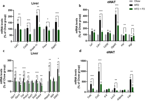 Figure 2. Effects of the probiotic mix on gene expression in the liver and eWAT. (a) relative mRNA expression levels of lipid metabolism-related genes in the liver: hepatic lipase (LipC), CD36 antigen (CD36), sterol regulatory element binding transcription factor 1 (Srebp-1c), fatty acid synthase (Fasn), and diacylglycerol O-acyltransferase 2 (Dgat2) (n = 7–10). (b) relative mRNA expression levels of lipid metabolism-related genes in eWAT: lipoprotein lipase (Lpl), low density lipoprotein receptor (Ldl-r), CD36 antigen (CD36), diacylglycerol O-acyltransferase 2 (Dgat2), hormone sensitive lipase (Hsl) and adipose triglyceride lipase (Atgl) (n = 5–8). (c) relative mRNA expression levels of oxidative stress and ER stress-related genes in the liver: glutathione peroxidase 1 (Gpx1) and 4 (Gpx4), Catalase (Cat), peroxiredoxin 3 (Prdx3), superoxide dismutase 1 (Sod1) and 2 (Sod2), glutathione S-transferase alpha 4 (Gsta4), heat shock 70kDa protein 5 (Hspa5), activating transcription factor 4 (Atf4) and DNA-damage inducible transcript 3 (Ddit3). (d) relative mRNA expression levels of inflammation-related genes in eWAT: tumor necrosis factor alpha (Tnfα), chemokine (C-C motif) ligand 2 (Ccl2), interleukin 6 (iIl-6), Lipocalin 2 (Lcn2), Adiponectin (Adipoq) and leptin (Lep). Data are mean ± SEM. $p <0.05, #p <0.01, ¤p <0.001 versus the Chow diet group and *p <0.05, **p <0.01, ***p <0.001 for the HF-Pr2 versus the HF group.