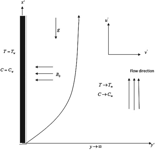 Figure 1: Physical model of the problem.