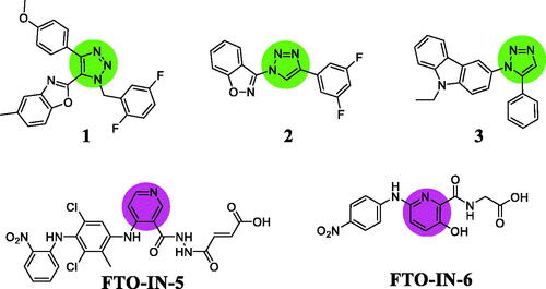Figure 1. 1,2,3-Triazole hybrids and pyridine-based FTO inhibitors.