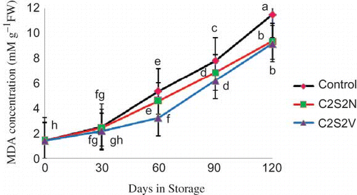 FIGURE 3 Effect of 2% CaCl2 in combination with 2 mM spermidine by normal dip and vacuum infiltration methods on changes in MDA concentration in pomegranate fruit during storage at 2°C. Each value is the mean of three replicate samples ±S.E. Values labeled with the same letters are not different at the 5% level (color figure available online).