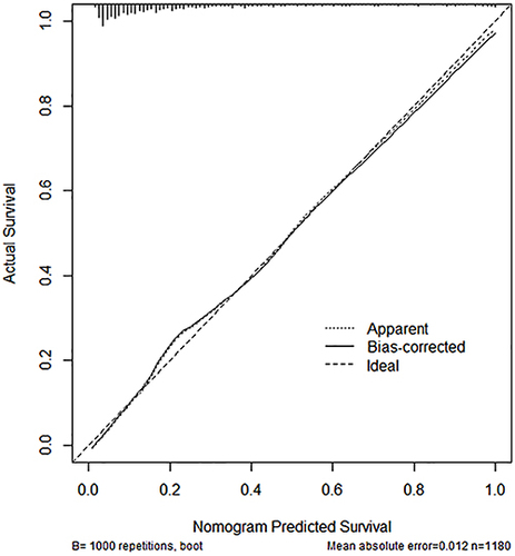 Figure 3 Calibration curve of the nomogram model. The observed apparent outcome (dotted line), the bias-corrected outcome (solid line), and the ideal outcome (dashed line) were presented.