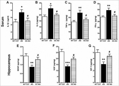 Figure 5. Detection of inflammatory and neurotrophic cytokines level in mice. The results showed that the level of inflammatory factors IL-1β (A), IL-6 (B), TNF-α (C) and IFN-γ (D) in serum of AD mice were significantly higher than those of wild type C57 mice, while trophic factor BDNF (E), NGF (F) and IGF-1 (G) in hippocampus were lower. By reareing in EE, the inflammatory factors decreased while the trophic cytokines increased significantly. *P < 0.05, **P < 0.01, compared with wild type C57; #P < 0.05, compared with AD mice.