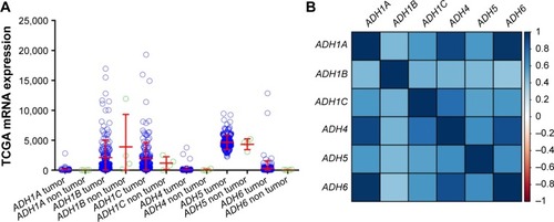 Figure 2 Gene expression distribution and coexpression heat map of ADH genes using the TCGA dataset.