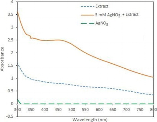 Figure 1. UV–Vis spectra of synthesized AgNPs, plant extract and AgNO3.