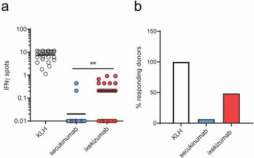 Figure 1. Specific T cell and responding donor frequencies. T cell lines (T cells contained in a single well) were generated by 3 weekly rounds of stimulation with secukinumab, ixekizumab or KLH (positive control) and their specificity was tested by IFN-γ ELISpot. Frequencies of CD4 T cells specific for monoclonal antibodies or KLH (a) and donor response (B, %) for 31 healthy blood donors. A donor was considered a responder if at least one T cell line was detected. The frequency of CD4 T cell precursors was calculated using the Poisson’s distribution. Data was analyzed using Wilcoxon matched-pairs signed rank test, **p < .01. KLH, Keyhole limpet hemocyanin; IFN-γ, interferon gamma