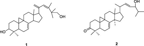 Figure 8 Terpenoid structures of N. sativa isolates cycloart-23-methyl-7,20,22-triene-3b, 30-diol (1) and cycloart-3-one-7,22-diene-24-ol (2).Citation96