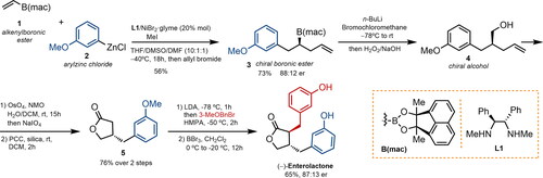 Figure 2. A nickel-catalyzed carbozincation approach to enterolignan synthesis (THF: tetrahydrofuran; DMSO: dimethyl sulfoxide; DMF: dimethylformamide; DCM: dichloromethane; NMO: N-methylmorpholine N-oxide; PCC: pyridinium chlorochromate; LDA: lithium diisopropylamide; HMPA: hexamethylphosphoramide; rt: room temperature; er: enantiomeric ratio.