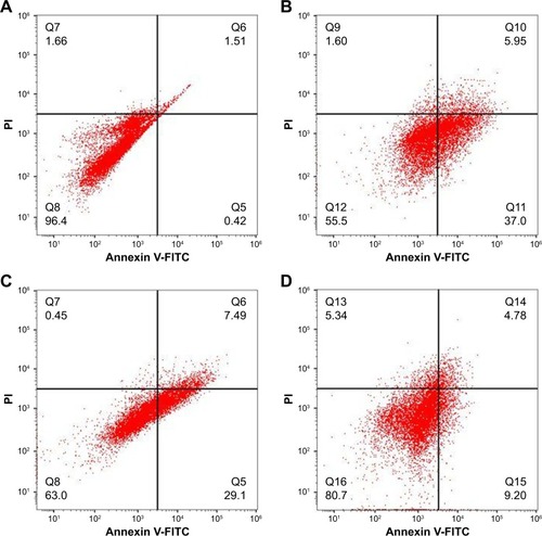 Figure 6 Apoptosis assay.Note: Flow cytometer analysis of (A) untreated control cells, (B) free DOX-treated cells, (C) DOX-loaded targeted MSNP-treated cells, and (D) cells treated with DOX-loaded bare MSNPs.Abbreviations: DOX, doxorubicin; FITC, fluorescein isothiocyanate; MSNPs, mesoporous silica nanoparticles; PI, propidium iodide.