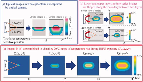 Figure 1. (a–c) Concept of the proposed method, which achieves a wider sensitive temperature range than the conventional range.