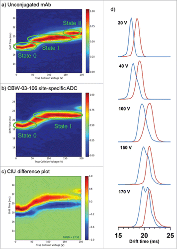 Figure 6. CIU experiments performed on deglycosylated CBW-03–106 site-specific ADC and its unconjugated mAb form. CIU fingerprints of the 24+ charge state for the unconjugated mAb (a) and the site-specific ADC, CBW-03–106 (b). CIU difference plot between CBW-03–106 and unconjugated mAb (c). Extracted arrival time distributions (ATD) of the unconjugated mAb (blue) and CBW-03–106 (red) at different trap collision voltages (d).