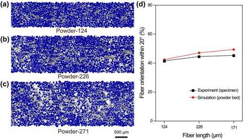 Figure 9. Simulated composite powder beds with different types of GFs: (a) Powder-124, (b) Powder-226, and (c) Powder-271 and the percentage of fibres orientated along the powder spreading direction within 20° versus the fibre length.